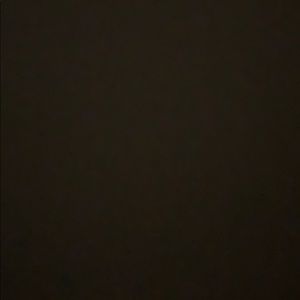 Meet your Posher, Bodhi